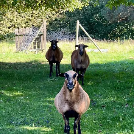 Appartamento Brandshagen